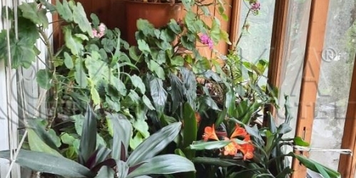 3-комн квартира Аэродромная,  д. 7,  к. 1