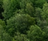 Продать Дачи, коттеджи, загородные дома д. Матокса, улица Въездная, 5   