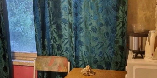 Комната улица Ольги Форш, 15К3