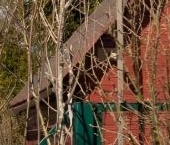 Продать Дачи, коттеджи, загородные дома Борисова Грива садоводческий массив, Октябрьский СНТ, улица Центральная, 105   