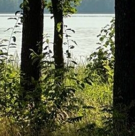 Продажа земли Вишневский Берег кп, пос. Вишневка