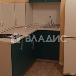 Продажа 1-комн квартиры на вторичном рынке Пискаревский пр-кт,  д. 145 к3