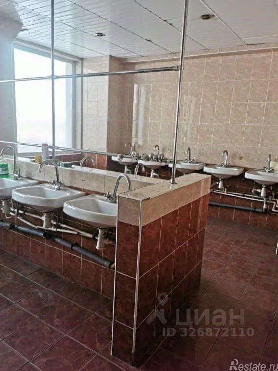 Аренда ПСН Шафировский проспект,  д. 17 литВ
