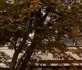 Продать Квартиры вторичка Новоивановское пгт, улица Агрохимиков, 7   