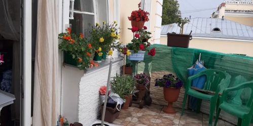 3-комн квартира Петергоф г., Санкт-Петербургский просп.,  д. 14