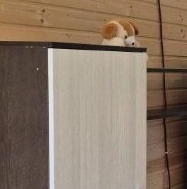 Продажа дома Мшинская садоводческий массив, Ворошиловец СНТ, д. 21 Продажа дома Мшинская садоводческий массив, Ворошиловец СНТ, д. 21