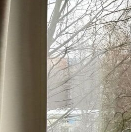 Продажа 2-комн квартиры на вторичном рынке улица Ольги Форш, 1/4 Продажа 2-комн квартиры на вторичном рынке улица Ольги Форш, 1/4