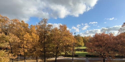 Комната Стрельна г., Фронтовая ул. ,  д. 1