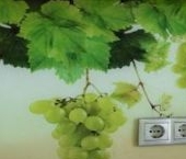 Продать Квартиры вторичка Святоозерская улица, 11   