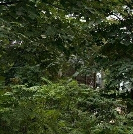 Продажа 3-комн квартиры на вторичном рынке д. Сапроново, улица Калиновая