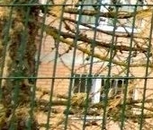 Продать Квартиры вторичка Зеленоградский пгт, улица Островского, 12   