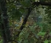 Продать Дачи, коттеджи, загородные дома Горы-3 садовое товарищество, Локомотивное Депо ТЧ-8 СНТ, 24-я линия   