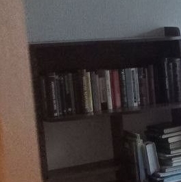 Аренда 1-комн квартиры на вторичном рынке Мурино, улица Шоссе в Лаврики, 59к1