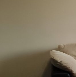 Аренда 1-комн квартиры на вторичном рынке Кудрово г., улица Областная, 1с1 Аренда 1-комн квартиры на вторичном рынке Кудрово г., улица Областная, 1с1