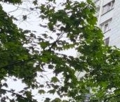 Продать Квартиры вторичка Филевский бульвар, 15   