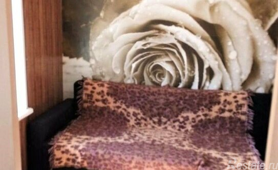 Аренда 1-комн квартиры на вторичном рынке Казачий Б. пер,  д. 8