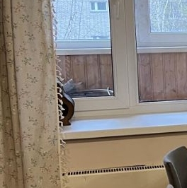 Аренда 2-комн квартиры на вторичном рынке Люберцы, улица Урицкого,  д. 5