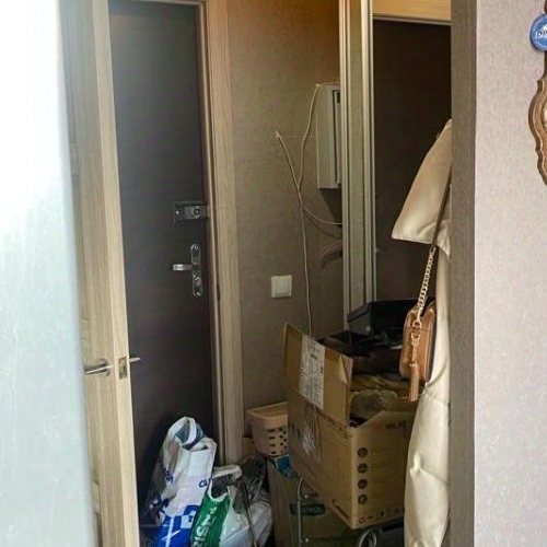 Студия пос. Янино-1, улица Заневская, 11