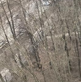 Аренда 1-комн квартиры на вторичном рынке бульвар Маршала Рокоссовского, 6к1 Аренда 1-комн квартиры на вторичном рынке бульвар Маршала Рокоссовского, 6к1