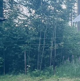 Продажа дома Вырица городской поселок, улица Вольская Продажа дома Вырица городской поселок, улица Вольская