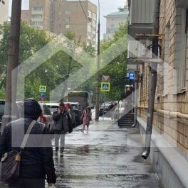 Аренда ПСН улица Бурденко, д. 16/12 Аренда ПСН улица Бурденко, д. 16/12