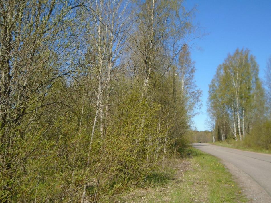 Продажа земли Житково пос.