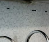 Продать Квартиры вторичка Красное Село, улица Спирина, 7к2   