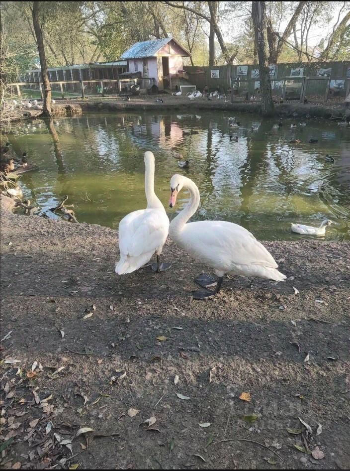 Продажа 2-комн квартиры на вторичном рынке пос. Рылеево, 9