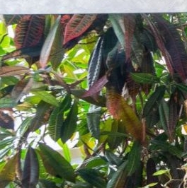 Продажа 4-комн квартиры на вторичном рынке Песочная набережная, 40 Продажа 4-комн квартиры на вторичном рынке Песочная набережная, 40