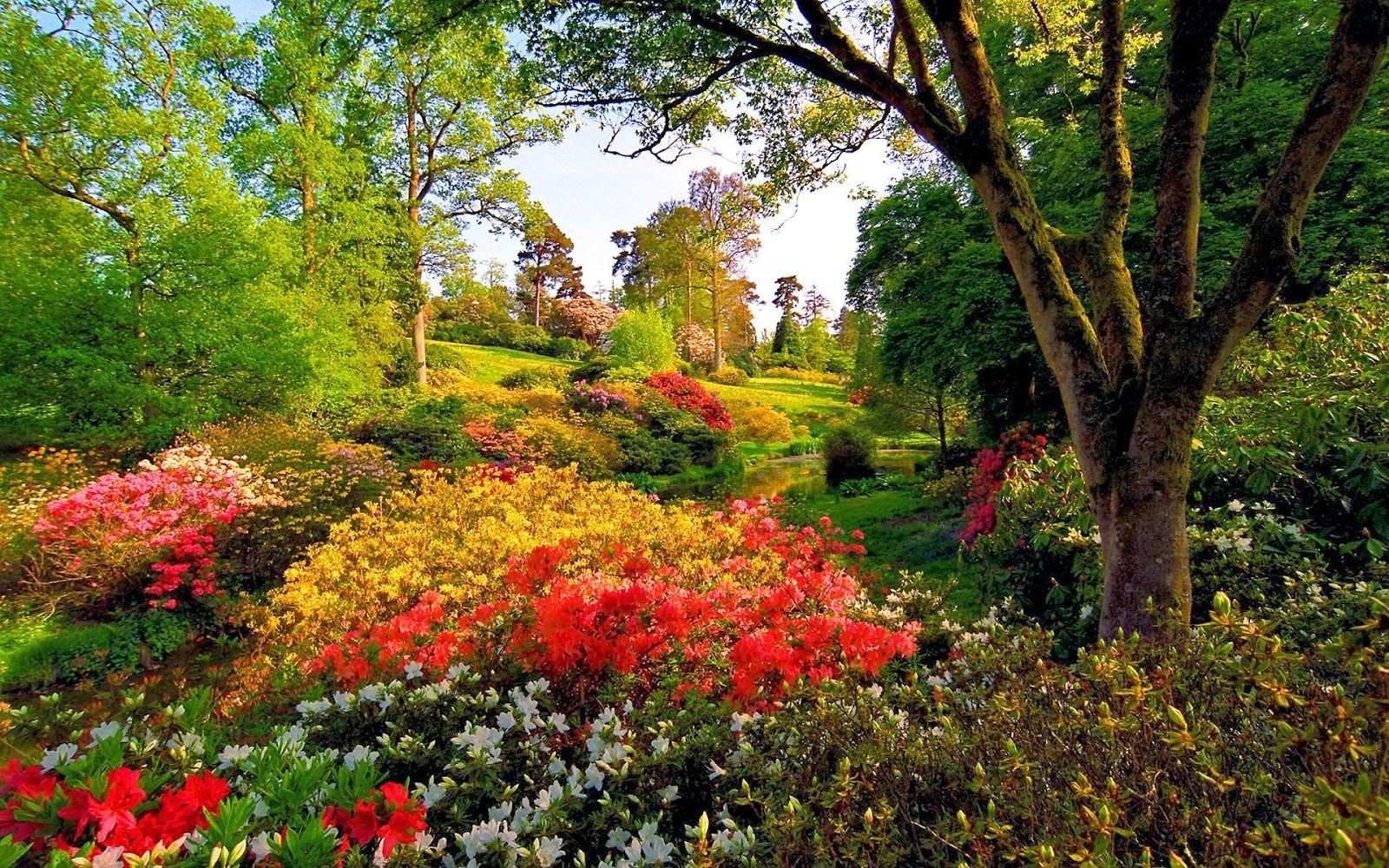 Фото коттеджного поселка Совино от Амега. Коттеджный поселок 