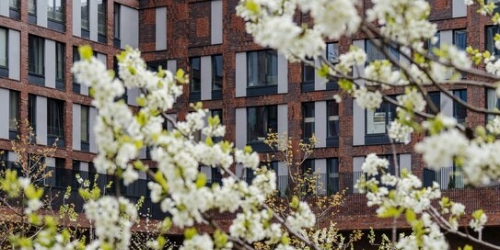 3-комн квартира Рублевское ш,  д. 101