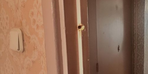 4-комн квартира Колпино, улица Братьев Радченко, 23