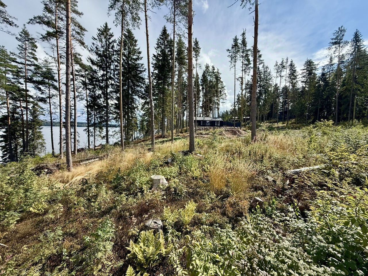 Продажа земли Лесная Ривьера кп,  д. 23