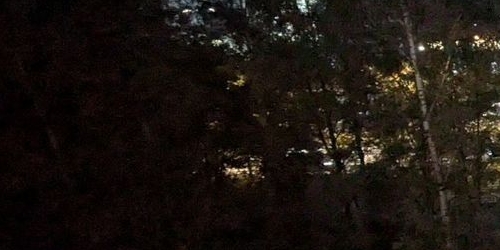 2-комн квартира проспект Непокоренных, 16к1Е