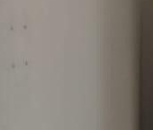 Сдать в аренду Квартиры вторичка Мытищи, улица Стрельбище Динамо, 10   