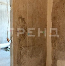 Продажа 1-комн квартиры на вторичном рынке Балканская М. ул,  д. 58