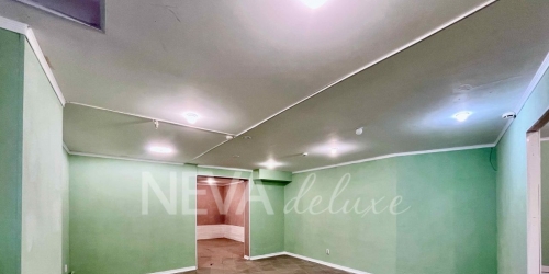 Торговое помещение Просвещения пр-кт,  д. 99