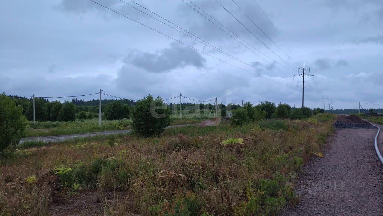 Продажа земли Новое Заостровье СНТ, улица Звездная