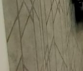 Сдать в аренду Квартиры вторичка Кудрово г., проспект Строителей, 4   