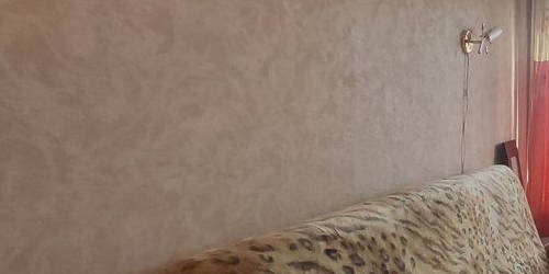 Комната улица Свободы, 97С1