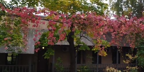 2-комн квартира Хитровский переулок, 3/1С1