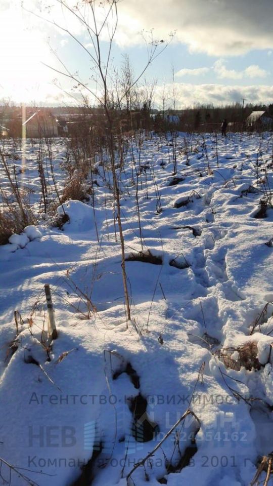 Продажа земли д. Старые Низковицы, 35