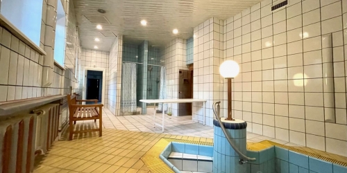 Помещение свободного назначения Ксеньинский пер,  д. 3