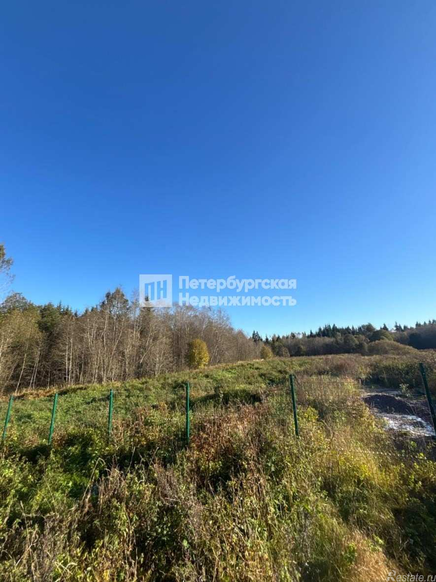 Продажа земли деревня Красные Горы, деревня Красные Горы, ул Красногорская