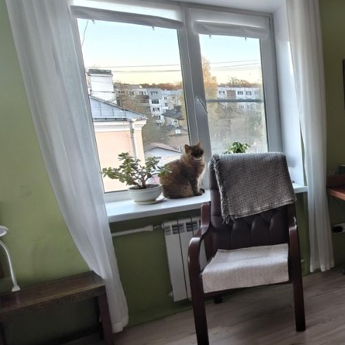 1-комн квартира Гатчина, улица Лейтенанта Шмидта, 4