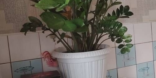 3-комн квартира Большая Калитниковская улица, 12