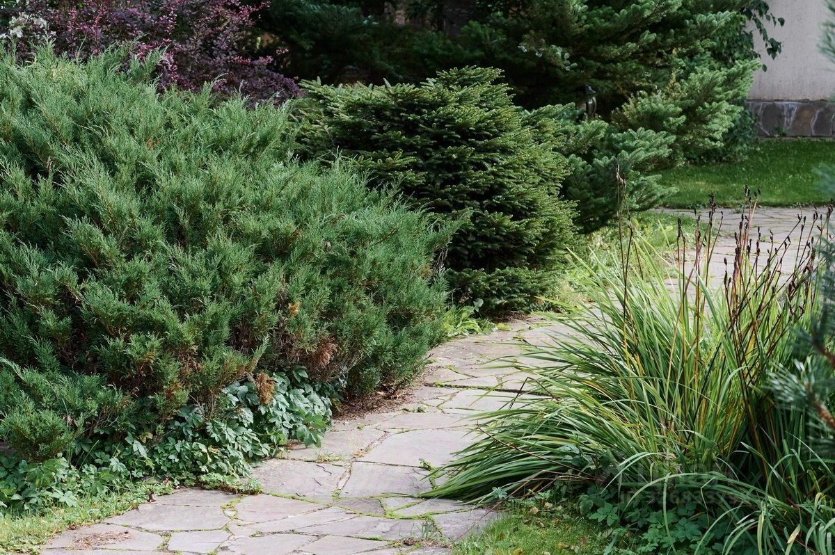 Продажа дома Верхнее Рощино исторический район, Рощино пгт