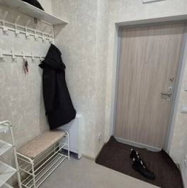 Аренда 1-комн квартиры на вторичном рынке Сельскохозяйственная улица,  д. 39