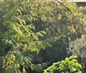 Продать Квартиры вторичка с. Акулово, улица Центральная, 30   