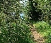 Продать Земельные участки, земля Наука СНТ   